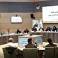 ژیمناستیک کردستان در کشور سرآمد است