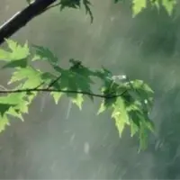باد و باران مهمان آسمان مازندران