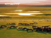 طبیعت زیبای مغولستان