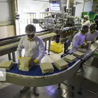 سیر نزولی نرخ مشارکت اقتصادی با وجود افزایش نیروی کار