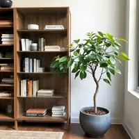 دو خط کتاب/ بیچارگان