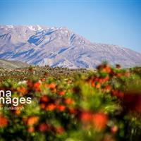 تهیه اطلس خدمات اکوسیستمی/ ارزشگذاری اقتصادی ۶ استان به پایان رسیده است
