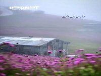 خوشم من با تب عشقت، طبیب آمد جوابش کن