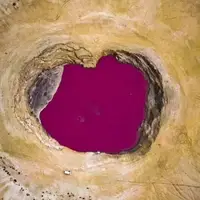 گلفشان بهشتی نفتلیجه