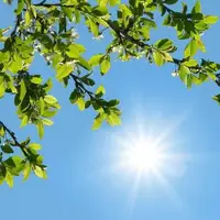 افزایش دمای هوا در انتظار همدانی‌ها