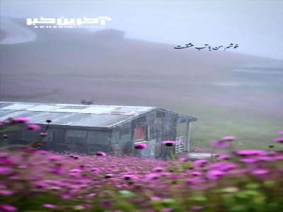 خوشم من با تب عشقت، طبیب آمد جوابش کن