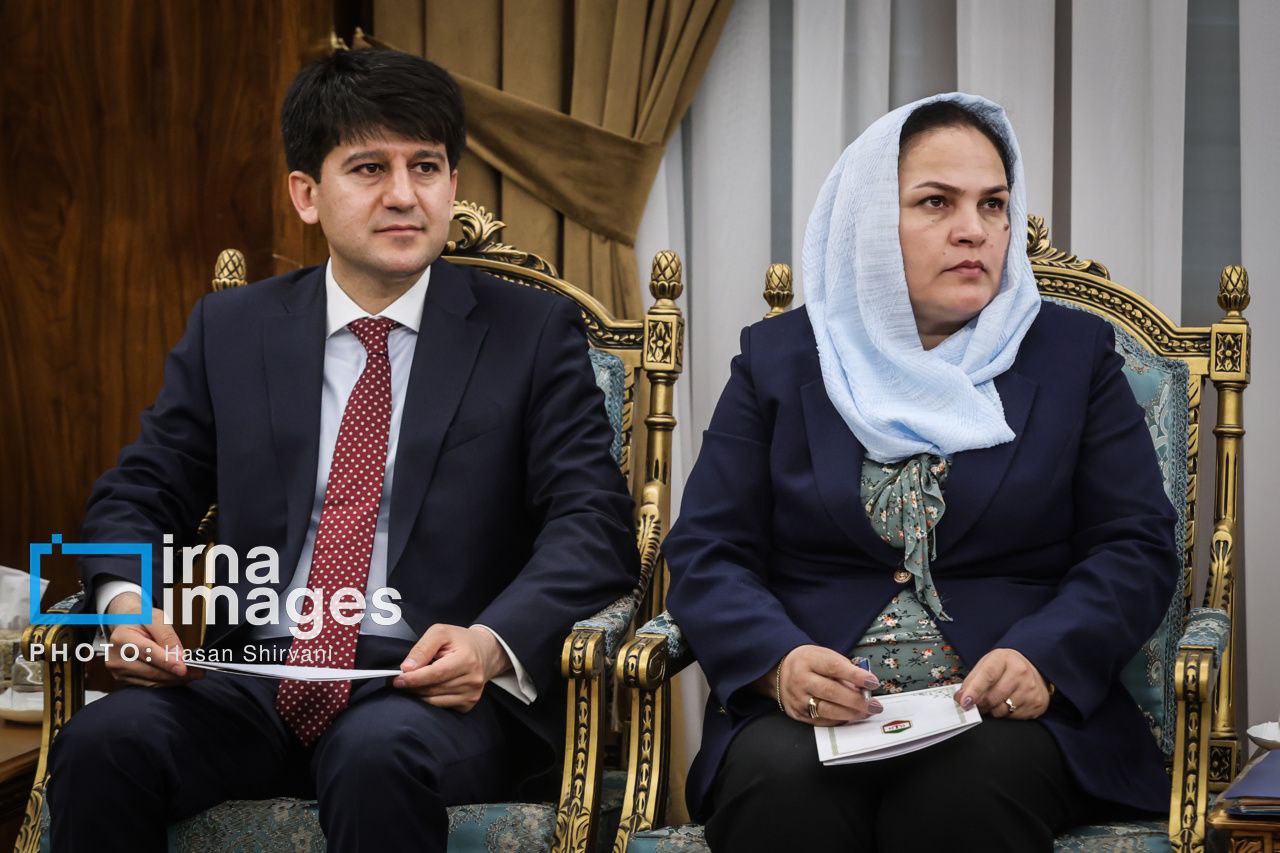 عکس/ دیدار وزیر انرژی تاجیکستان با معاون اول رئیس جمهور