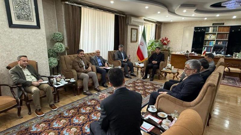 استاندار کردستان خواستار ایجاد صنایع وابسته به لاستیک خودرو در استان شد