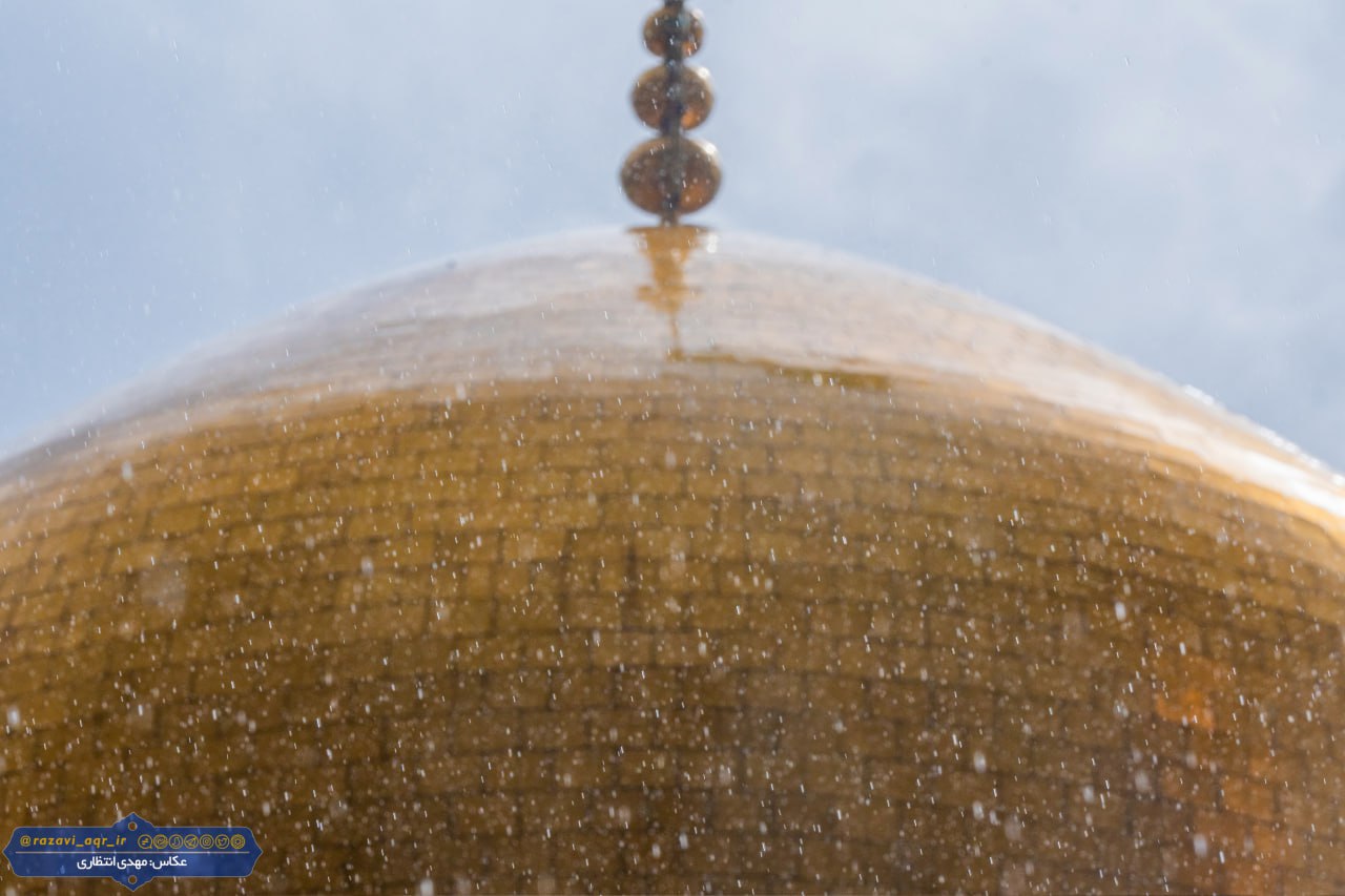عکس/ بارش باران بهاری در بهشت رضوی