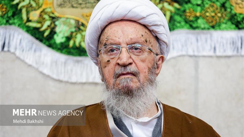 تأکید آیتالله مکارم شیرازی به حفظ استقلال حوزههای علمیه