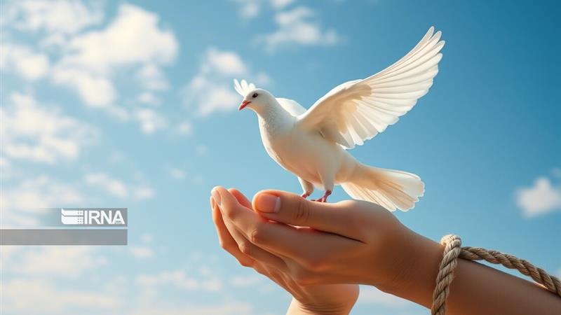 به عشق امام رضا(ع)؛ بخشش زندگیساز در کردکوی