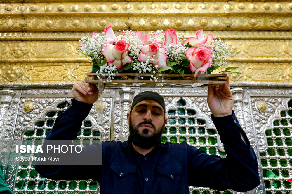 عکس/ گل آرایی ضریح حضرت معصومه (س) به مناسبت ولادت امام رضا(ع)