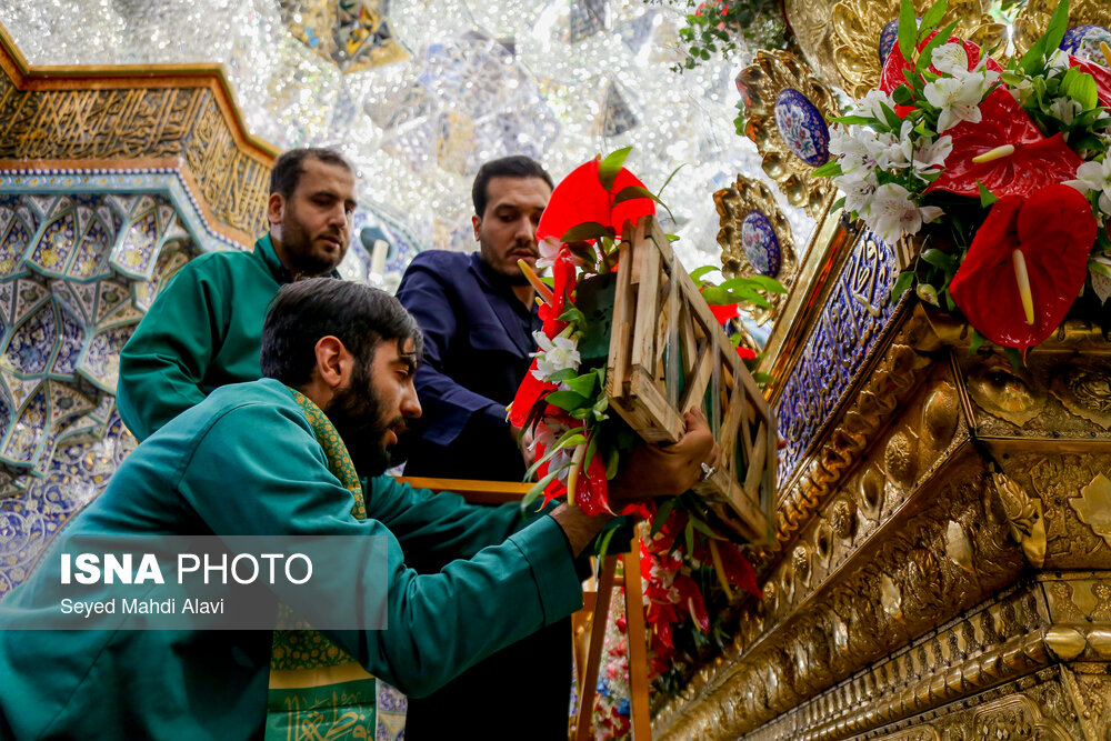 عکس/ گل آرایی ضریح حضرت معصومه (س) به مناسبت ولادت امام رضا(ع)