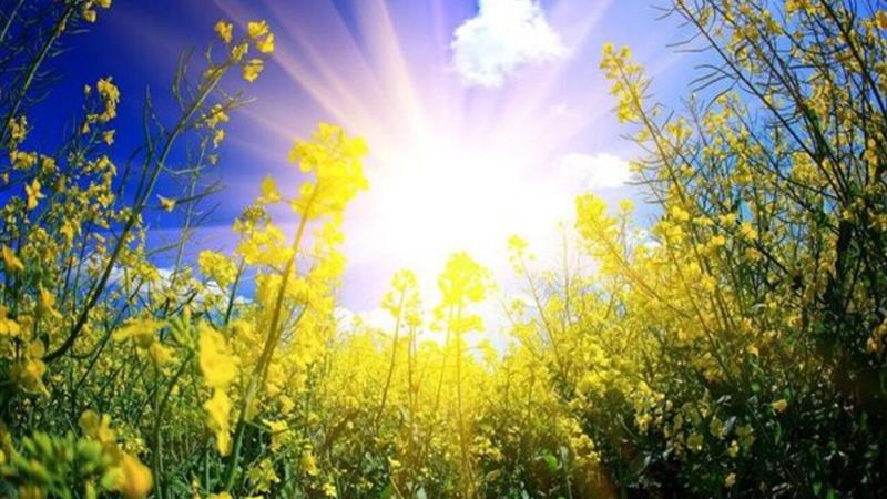 هوای استان ایلام تا چند روز آینده پایدار است