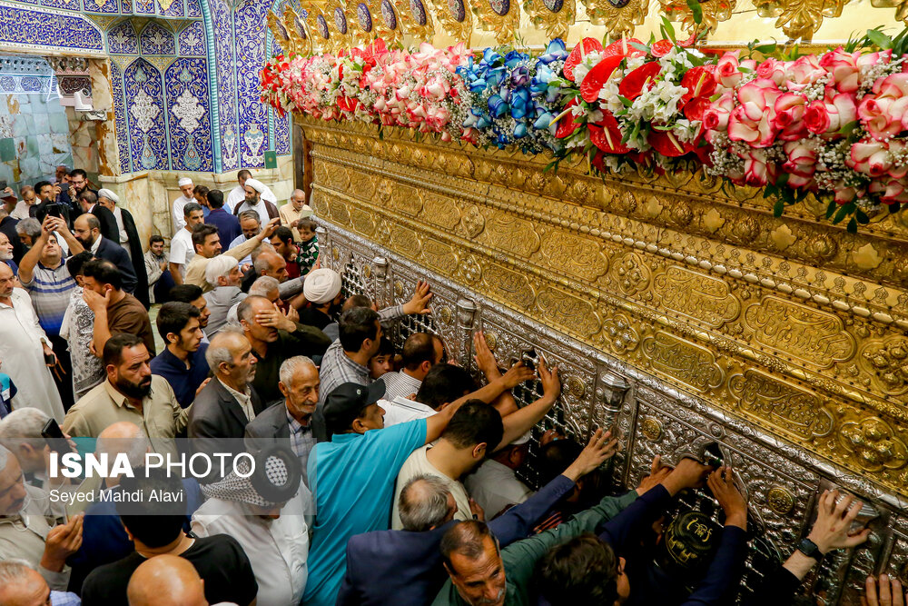 عکس/ گل آرایی ضریح حضرت معصومه (س) به مناسبت ولادت امام رضا(ع)