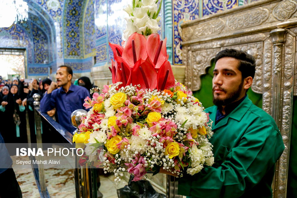 عکس/ گل آرایی ضریح حضرت معصومه (س) به مناسبت ولادت امام رضا(ع)