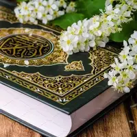 تصویر سازی برای آیه ٢۴۵ قرآن کریم