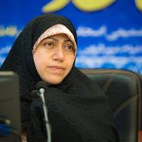 توسعه اقتصادی بانوان در دستور کار فراکسیون مجلس قرار دارد
