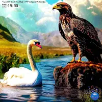 نبرد آلومینیوم - ملوان در اراک