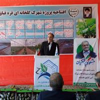 وزیر جهاد کشاورزی: ۴۰۰ میلیون دلار محصولات گلخانه‌ای صادر شد