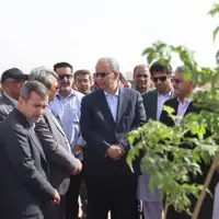 پارک جنگلی زاهدان به سامانه‌های آبیاری نوین مجهز شده است