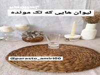 با دو لیوان ساده و یک کاسه، دنیایی از زیبایی ساخته‌ام