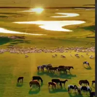 طبیعت زیبای مغولستان