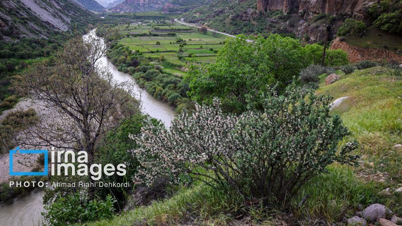 افزایش نسبی دما برای چهارمحال و بختیاری پیشبینی شد