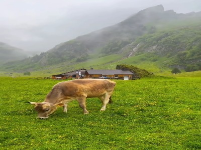 سوئیس در یک روز بارانی