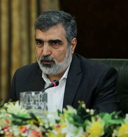 کمالوندی: ایران تنها کشوری نیست که غنی‌سازی دارد و در عین حال سلاح هسته‌ای ندارد