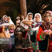 آیین ملی گل غلتان کاشان