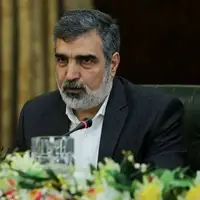 کمالوندی: ایران تنها کشوری نیست که غنی‌سازی دارد و در عین حال سلاح هسته‌ای ندارد
