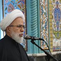 حرکت تاریخی امام رضا(ع)از مدینه تا مرو زیربنای گسترش تشیع در ایران بود