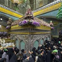 میلاد امام رضا، رجعتِ مهر به جان جهان