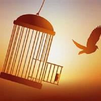 ۴۵ مددجو زندانی در خراسان شمالی با بدرقه خدام رضوی آزاد شدند