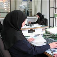 سهم زنان از جامعه کارمندی بیشتر شد