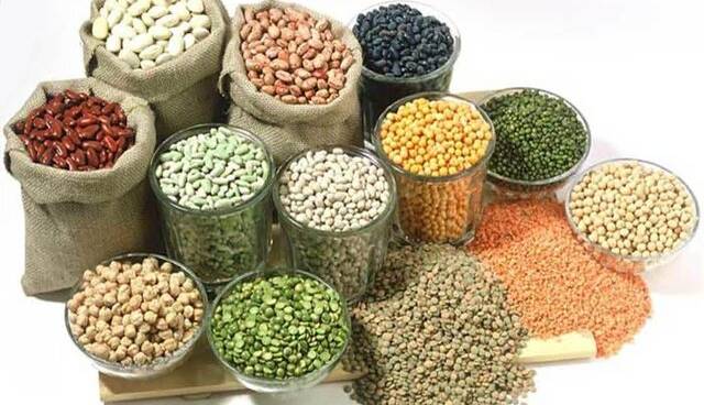گرانی حبوبات زیر سایه صادرات بی‌رویه و عرضه‌های قطره‌چکانی