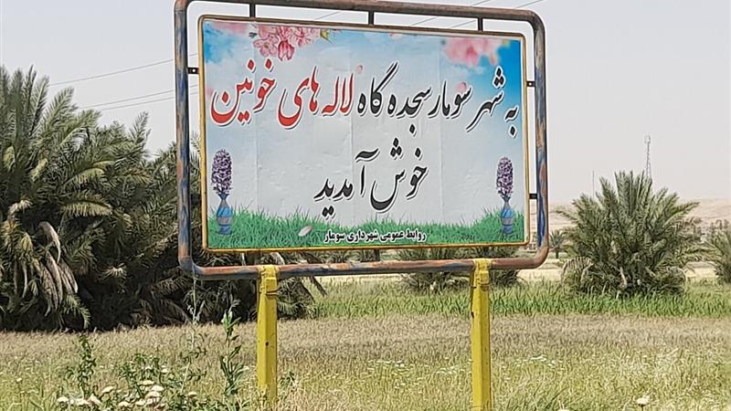 چشمان سومار؛ کمسو و بیمار