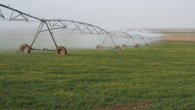 ۱۱ طرح بزرگ کشاورزی ایلام، چشمانتظار حمایت دولت