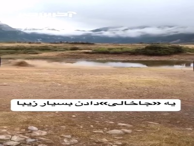 حرکت فریبنده غزال، یوزپلنگ را محو کرد!