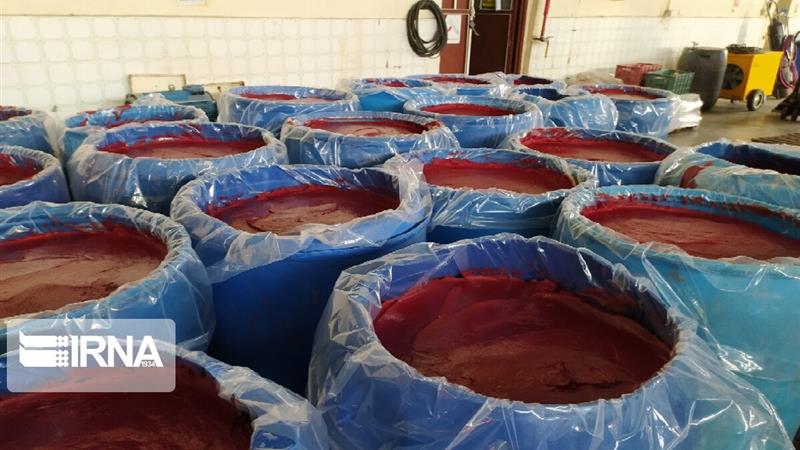 دیدگاه یک کارشناس صنایع غذایی درباره تفاوت رب گوجهفرنگی خانگی با صنعتی