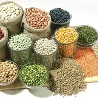 گرانی حبوبات زیر سایه صادرات بی‌رویه و عرضه‌های قطره‌چکانی