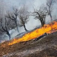آتش‌سوزی مراتع نورآباد اطفاء شده است