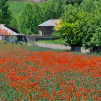 آسمانی گرم و بهاری پیش‌روی مازندرانی‌ها