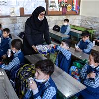 سال تحصیلی جدید ۷۵ وعده شیر رایگان در مدارس ابتدایی توزیع می‌شود