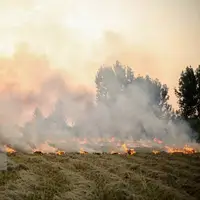دود سیاه آتش مزارع در گلوی خوزستان