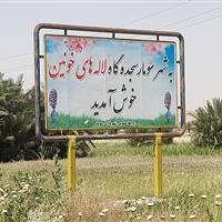 چشمان سومار؛ کم‌سو و بیمار