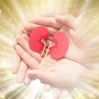 بیمار مرگ مغزی در زنجان به سه نفر زندگی بخشید