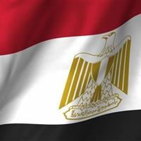 تعطیلی بیش از 3هزار شرکت غیرمجاز مصری مرتبط با حج