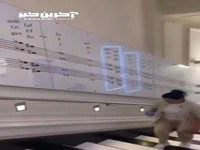 پلکان موسیقی شهر وین مردم را مجذوب خود کرد!